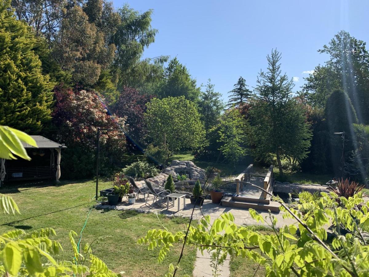 树林围场住宿加早餐旅馆 马奇 外观 照片