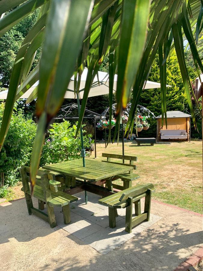 树林围场住宿加早餐旅馆 马奇 外观 照片